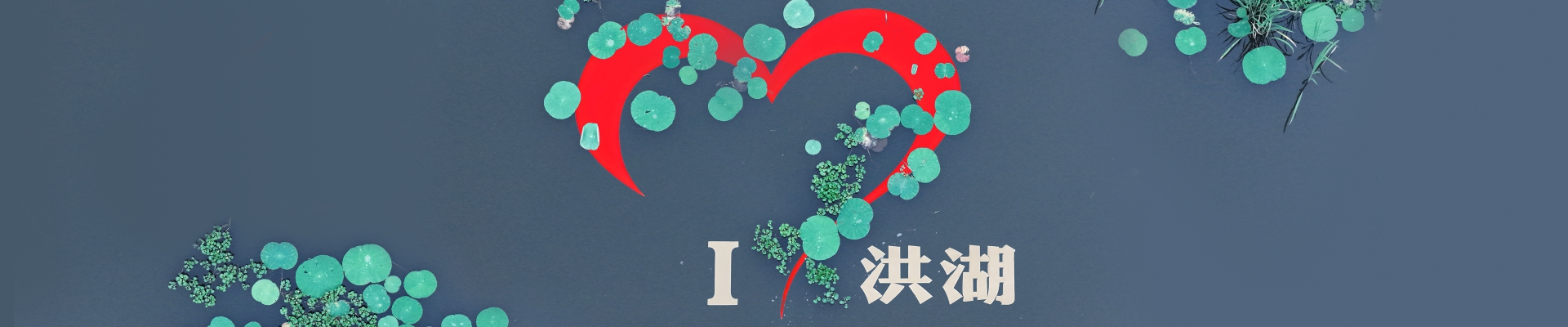 banner1
