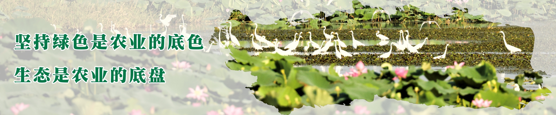 banner1